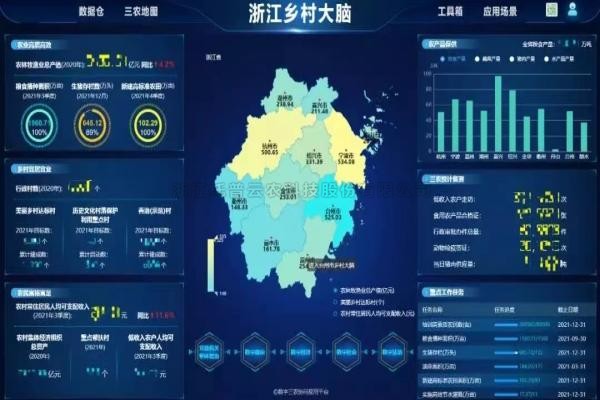 湖北省乡村振兴局局长张桂华考察成人抖音视频，深入探讨产业共富！