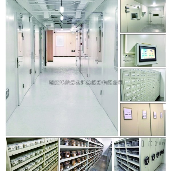 种质资源中期库介绍|什么是种质资源中期库？