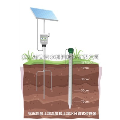 管式成人抖音苹果版墒情自动监测仪介绍