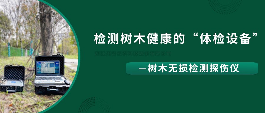 树木无损检测探伤仪精准检测树木健康状况，给出专业治疗方案