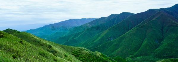 智慧护林有妙招，看太子山如何用科技守护森林