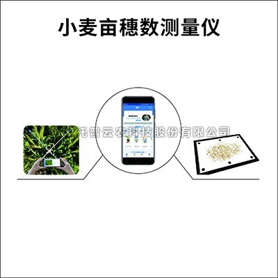 小麦亩穗数测量仪：测量小麦亩穗数的育种测产仪器