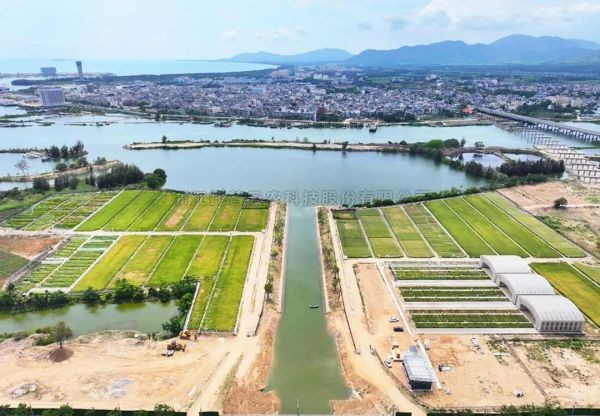 为盐碱地安上“技术芯片”，成人抖音视频打造耐盐碱水稻科研试验基地建设解决方案