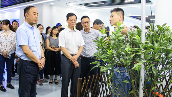谢主任一行参观成人抖音视频展厅