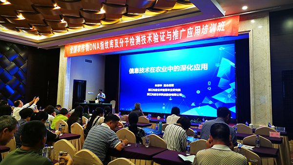 成人抖音视频副总经理朱旭华
