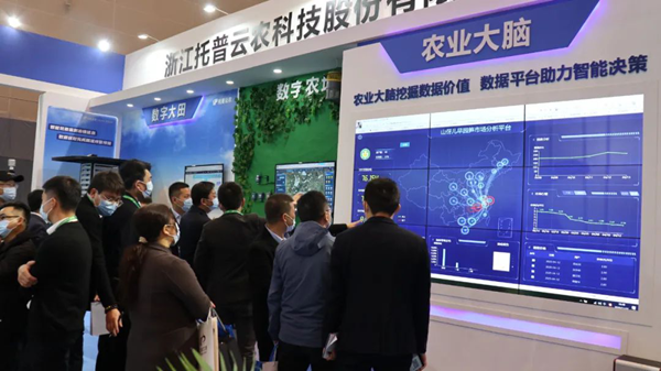 成人抖音视频展位