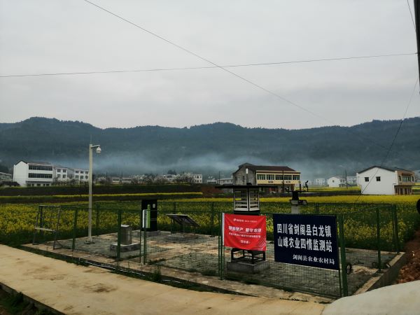 成人抖音视频病虫害监测点