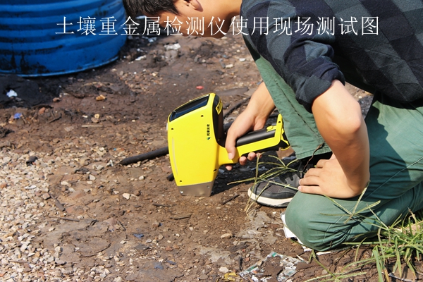 成人抖音苹果版重金属检测仪使用现场测试图
