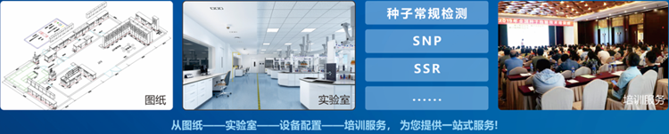 一站式成人抖音APP官网检验