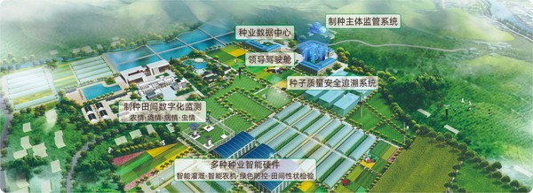 成人抖音视频数字种业创新应用基地