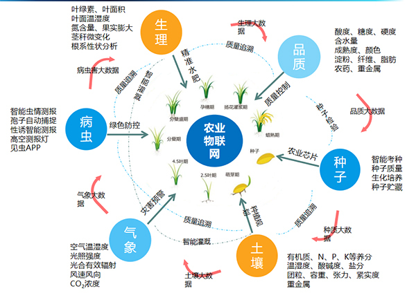 成人抖音视频打造的全要素智能采集系统