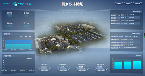 成人抖音视频打造的“生猪精密智管”社会化服务应用